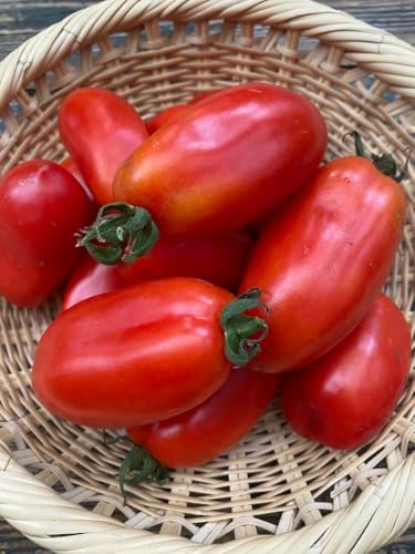 種 サンマルツァーノ」の人気商品一覧 | 安い商品を通販サイトから探す